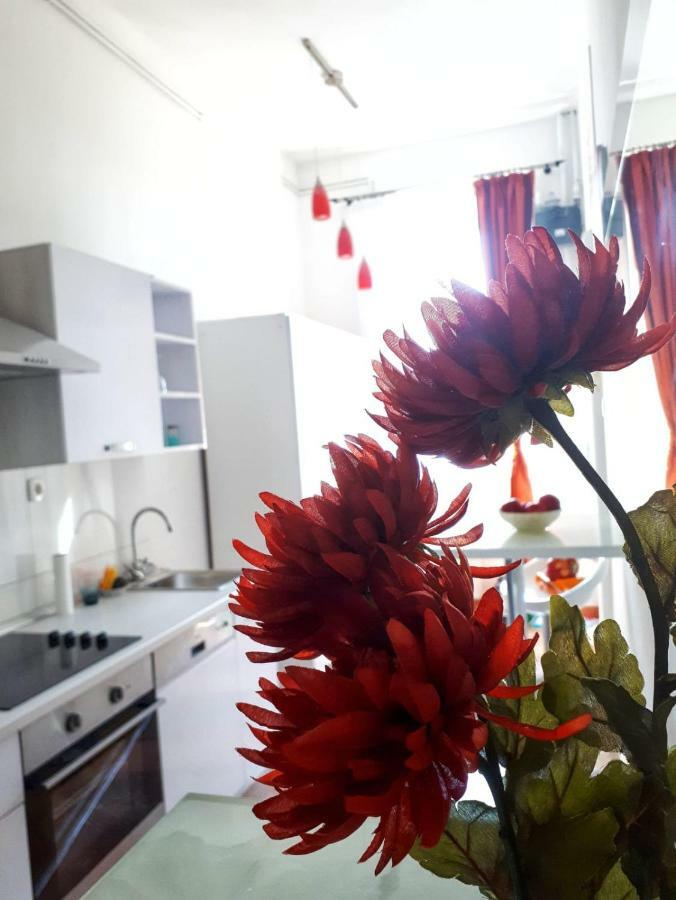 Apartment Zrinjevac 萨格勒布 外观 照片