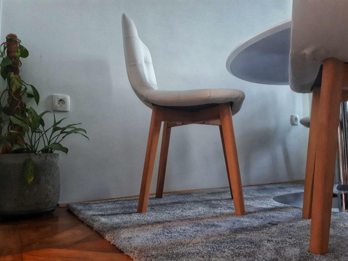 Apartment Zrinjevac 萨格勒布 外观 照片